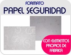 FORMATO SEGURIDAD CARTA